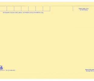 Manilla Heavy Duty File